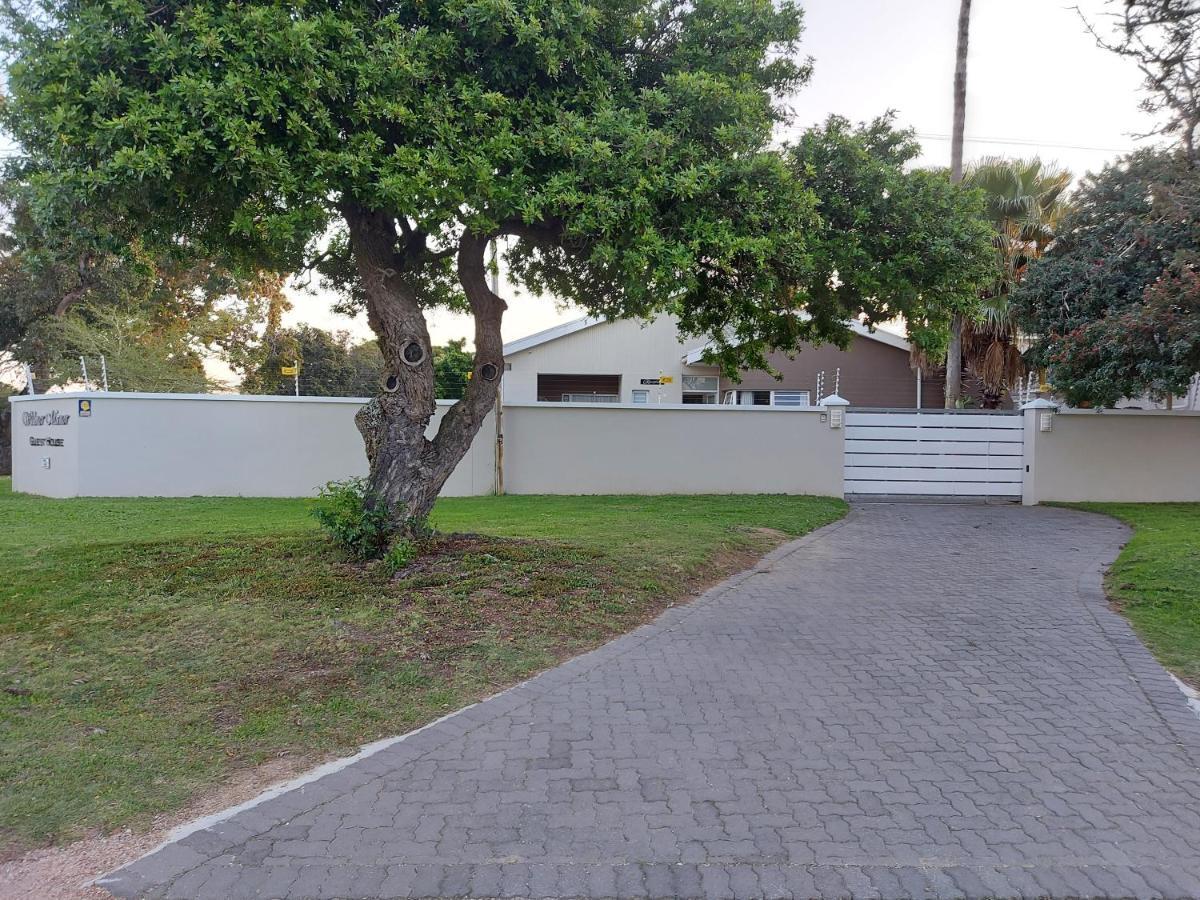 Walmer Manor Port Elizabeth Kültér fotó